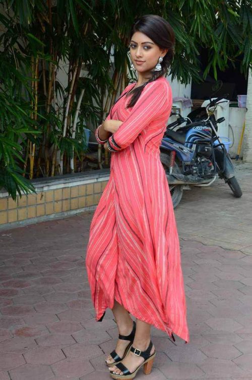 Anu Emmanuel at Majnu Movie Success Meet Photos 7