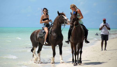 Kendall Jenner at Horseback Riding at a Beach in Turks - 15/09/2016 5