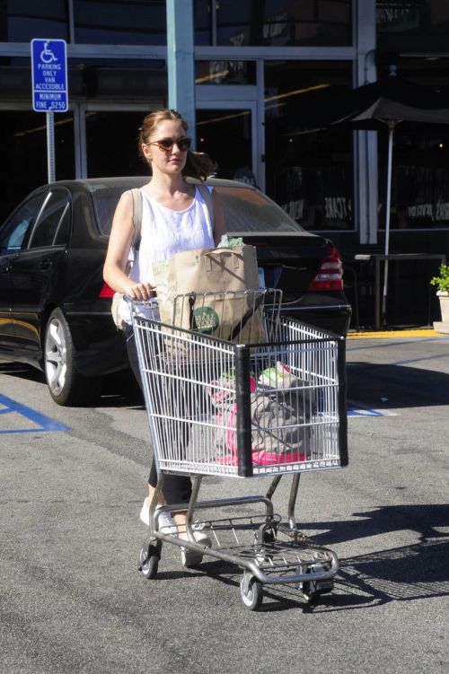 Minka Kelly Leaves Whole Foods in West Hollywood 5