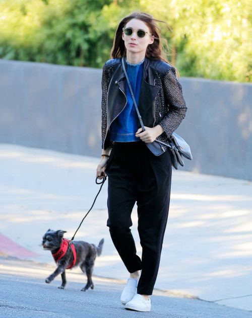 Rooney Mara Out with Her Dog in New York 2