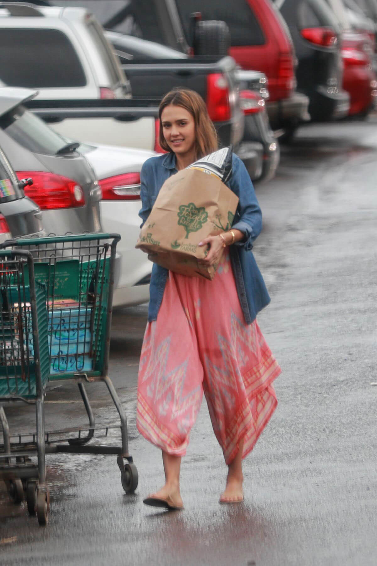 American Actress Jessica Alba Out Shopping in Hawaii