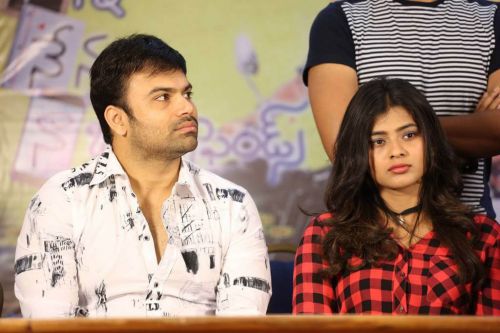 Hebah Patel Nanna Nenu Na Boyfriends Movie Success Meet Photos