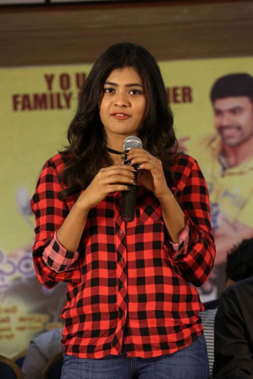 Hebah Patel Nanna Nenu Na Boyfriends Movie Success Meet Photos 6