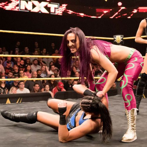 WWE - NXT Digitals 13