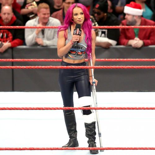 WWE - Raw Digitals 23