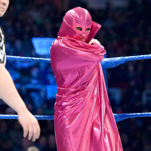 WWE - Smackdown Live Pictures 17