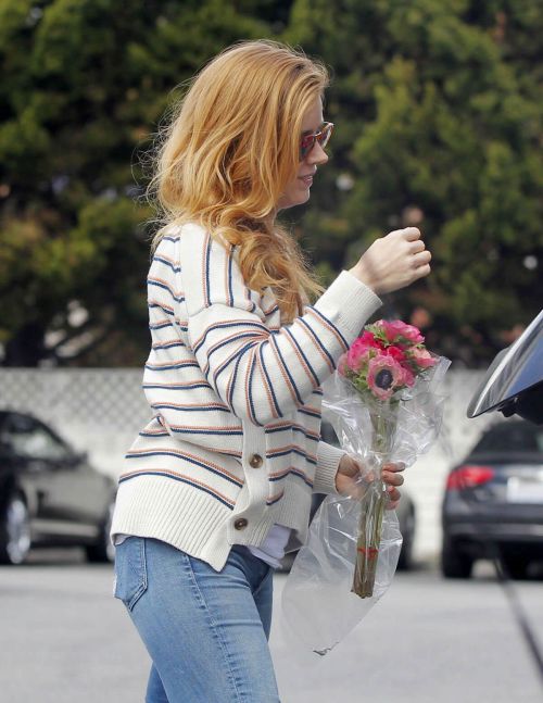 Amy Adams Stills Shopping in West Hollywood 3