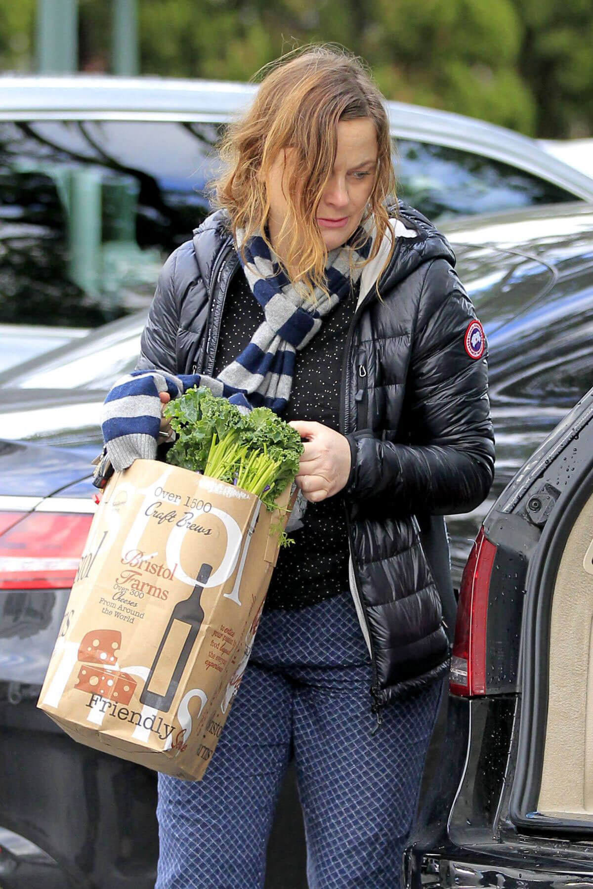 Amy Poehler Out Shopping in Los Angeles