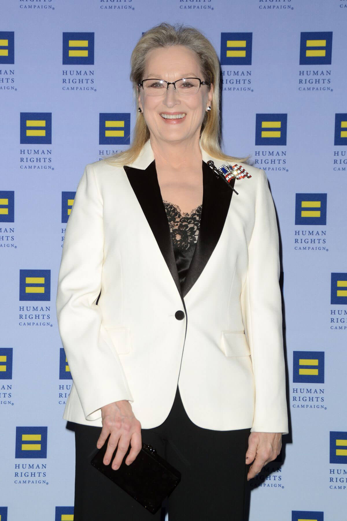 Meryl Streep Stills at 2017 Human Rights Campaign Greater New York Gala