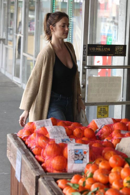 Minka Kelly Stills Out Shopping in Los Angeles 6