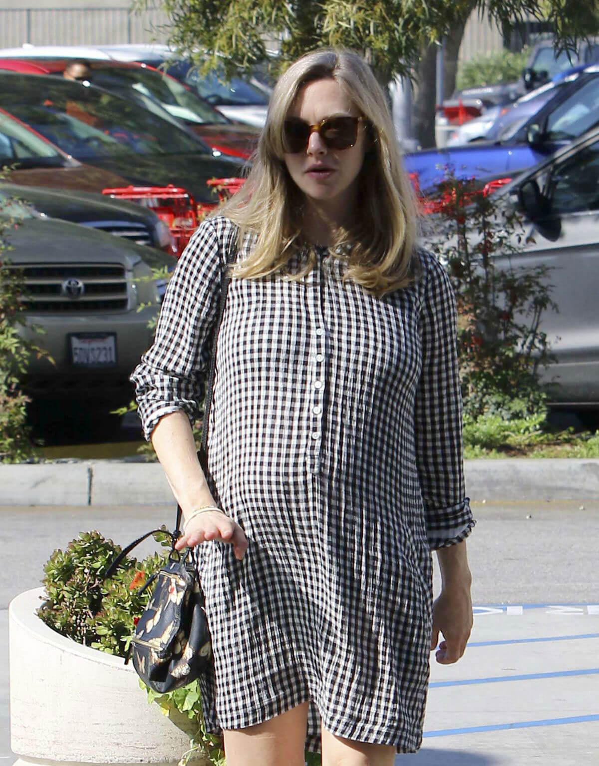 Pregnant Amanda Seyfried Stills Out in Los Angeles