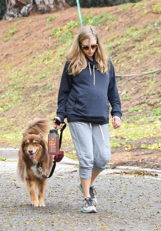 Pregnant Amanda Seyfried Stills Walks Her Dog Out in West Hollywood