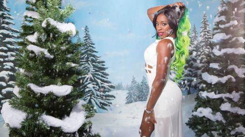 WWE - Winter Wonderland 24