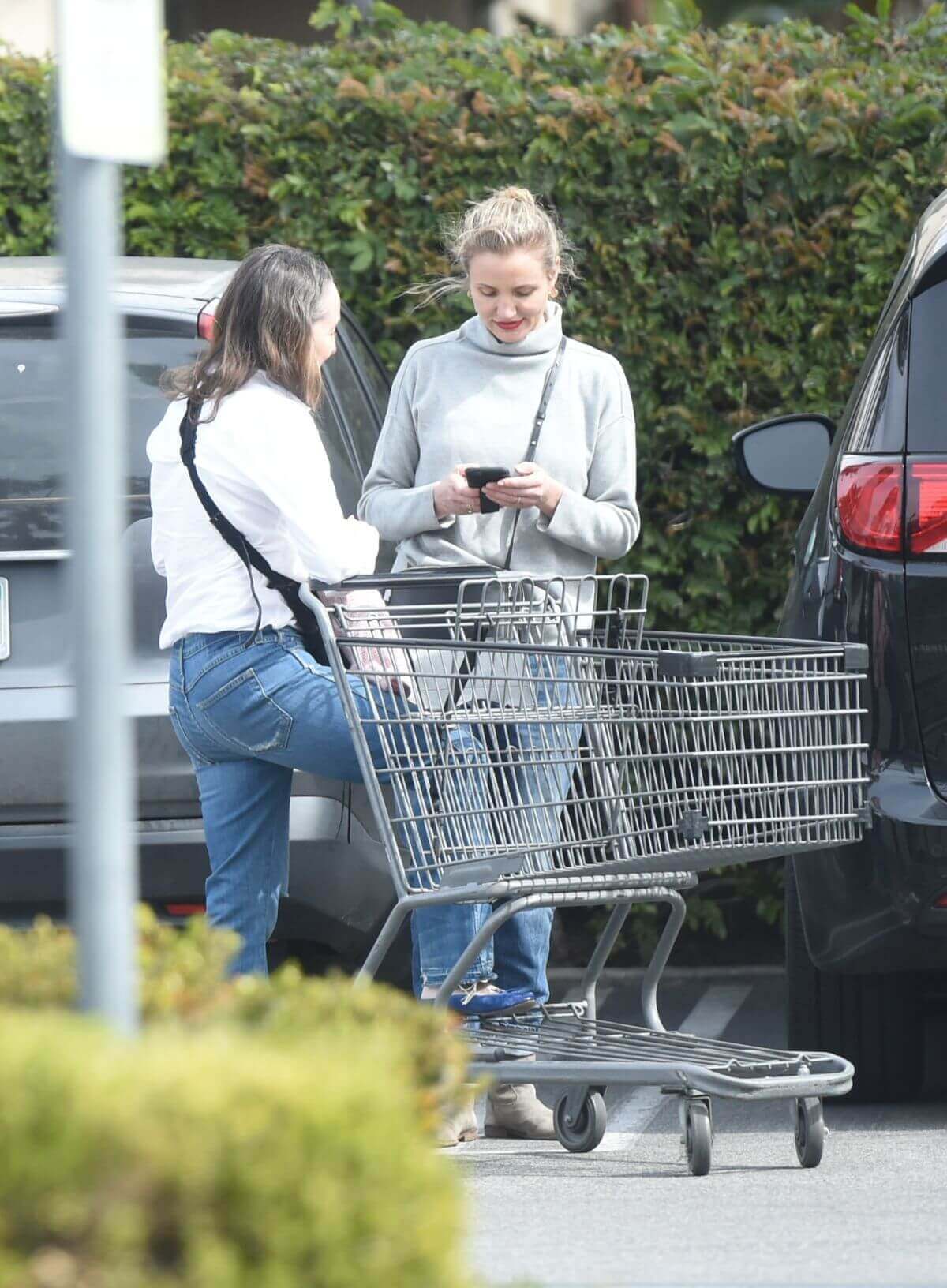 Cameron Diaz Stills Out for Grocery Shopping in Los Angeles