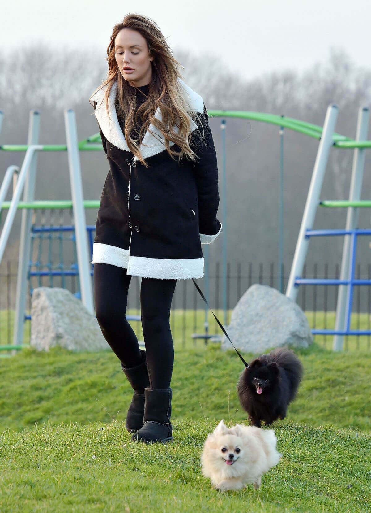 Charlotte Crosby Stills Walks Her Dogs in a Park in Sunderland