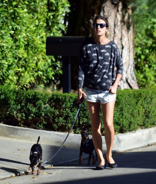 Elisabetta Canalis Stills in Daisy Dukes Walks Her Dog Out in Beverly Hills 3