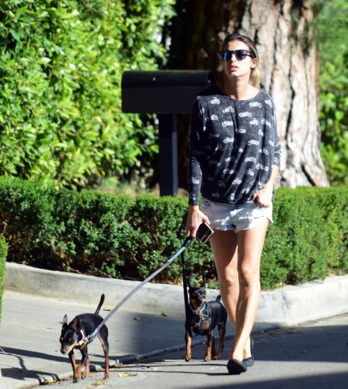 Elisabetta Canalis Stills in Daisy Dukes Walks Her Dog Out in Beverly Hills 4