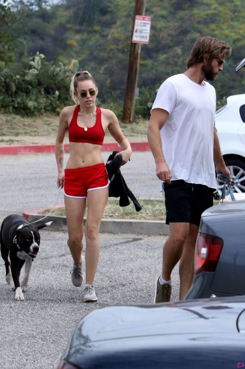 Miley Cyrus Stills Out with Her Dogs in Los Angeles 3