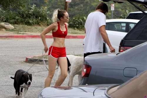 Miley Cyrus Stills Out with Her Dogs in Los Angeles 4