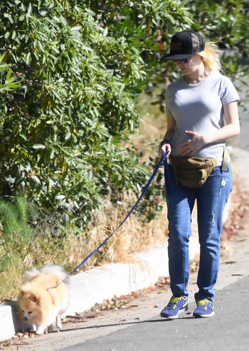 Heidi Montag Stills Walks Her Dog Out in Los Angeles 1