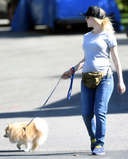 Heidi Montag Stills Walks Her Dog Out in Los Angeles 2