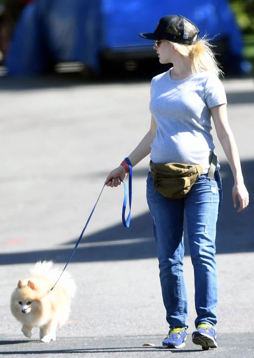 Heidi Montag Stills Walks Her Dog Out in Los Angeles 3