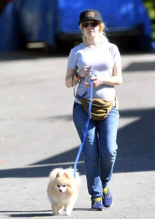 Heidi Montag Stills Walks Her Dog Out in Los Angeles 5