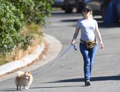 Heidi Montag Stills Walks Her Dog Out in Los Angeles 6