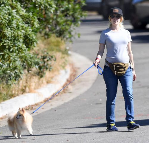 Heidi Montag Stills Walks Her Dog Out in Los Angeles 7