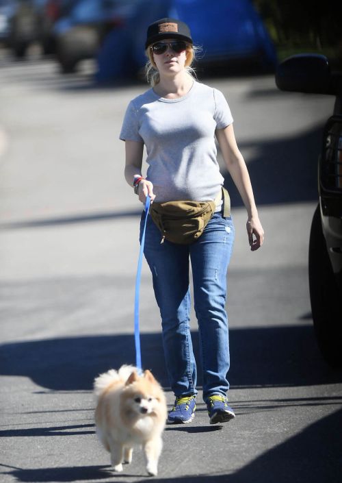 Heidi Montag Stills Walks Her Dog Out in Los Angeles 8