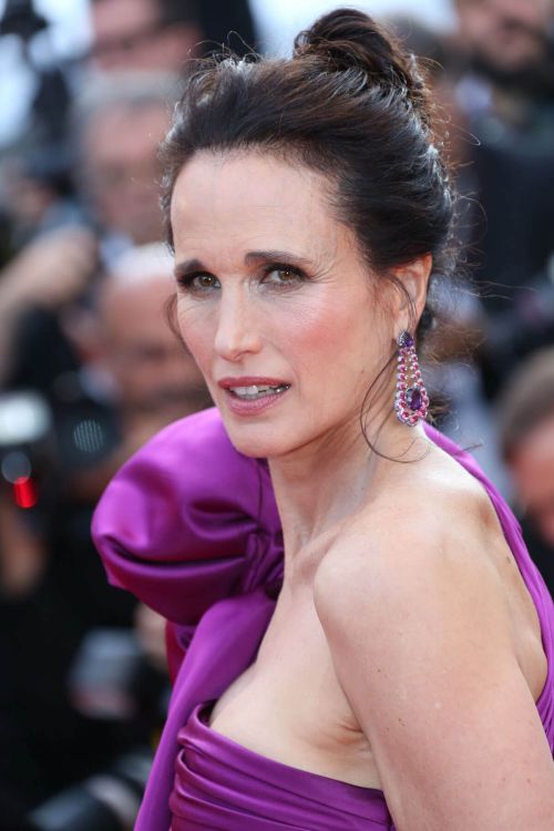 Andie MacDowell at The Meyerowitz Stories Premiere at 70th Annual Cannes Film Festival 4