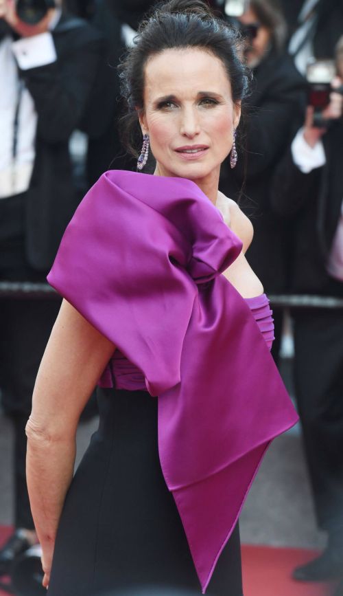 Andie MacDowell at The Meyerowitz Stories Premiere at 70th Annual Cannes Film Festival 8