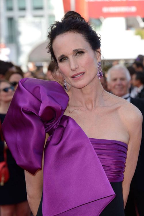 Andie MacDowell at The Meyerowitz Stories Premiere at 70th Annual Cannes Film Festival 9