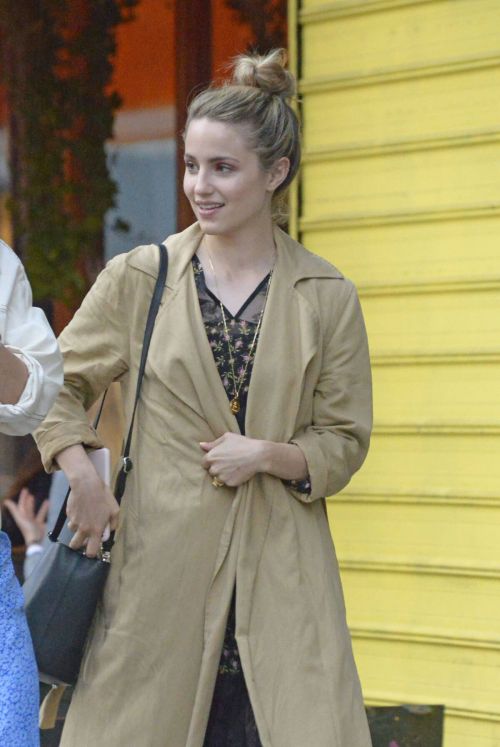 Dianna Agron Out and About in New York 3