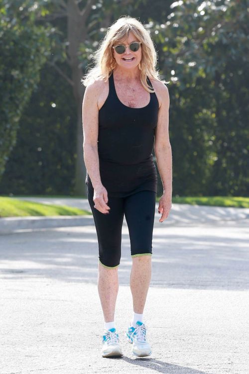 Goldie Hawn Out Jogging in Brentwood 6