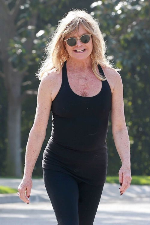 Goldie Hawn Out Jogging in Brentwood 8