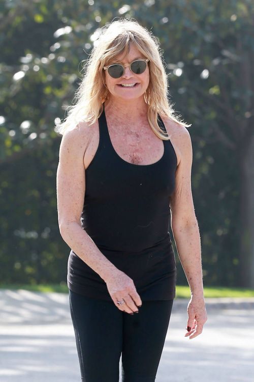 Goldie Hawn Out Jogging in Brentwood 9