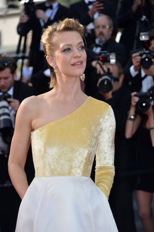 Heike Makatsch at The Meyerowitz Stories Premiere at 70th Annual Cannes Film Festival 3