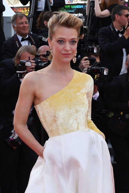 Heike Makatsch at The Meyerowitz Stories Premiere at 70th Annual Cannes Film Festival 7