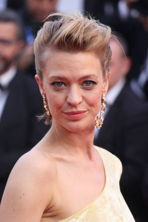 Heike Makatsch at The Meyerowitz Stories Premiere at 70th Annual Cannes Film Festival 8