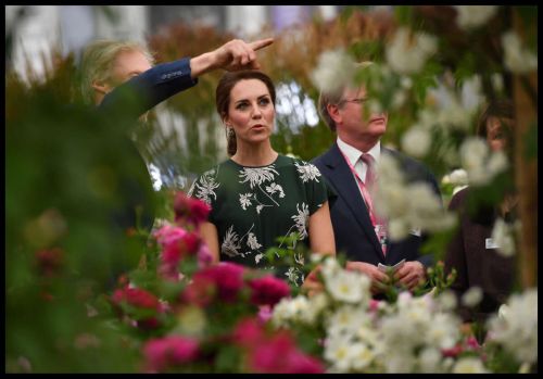 Kate Middleton at 2017 RHS Chelsea Flower Show in London 1