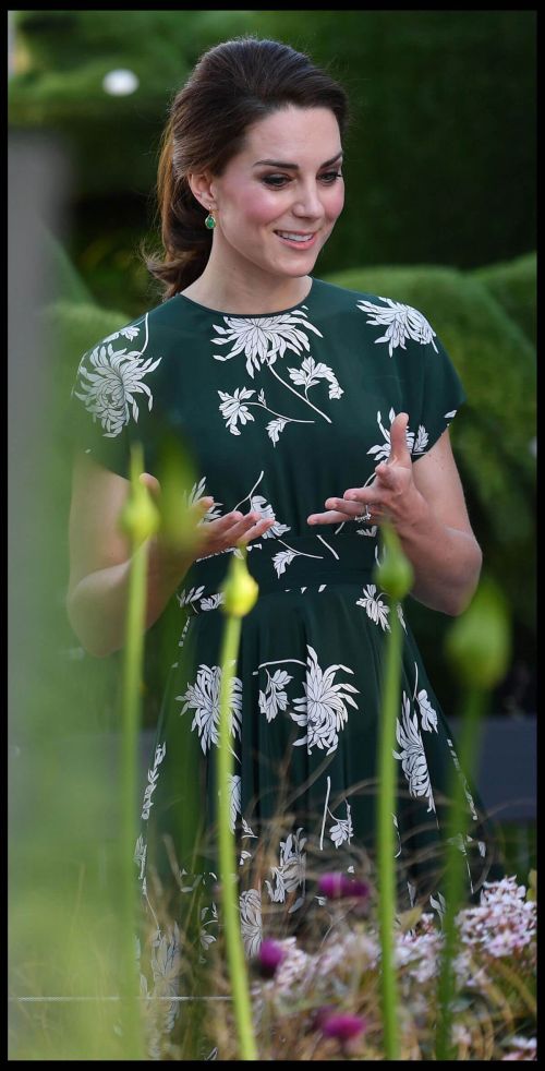 Kate Middleton at 2017 RHS Chelsea Flower Show in London 3