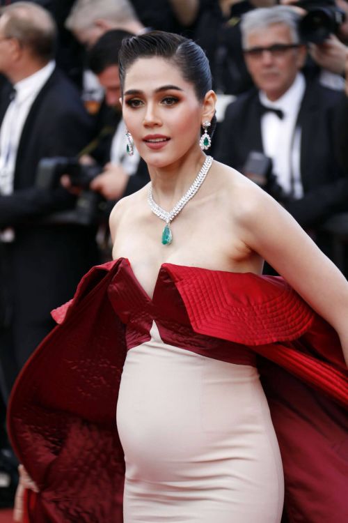 Pregnant Araya A. Hargate at The Meyerowitz Stories Premiere at 70th Annual Cannes Film Festival 3