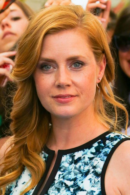 Amy Adams Stills at Giffoni Film Festival 2017 Photocall 13