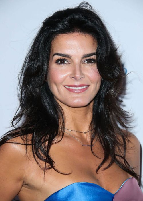 Angie Harmon Stills at 3rd Annual Sports Humanitarian of the Year Awards in Los Angeles 12