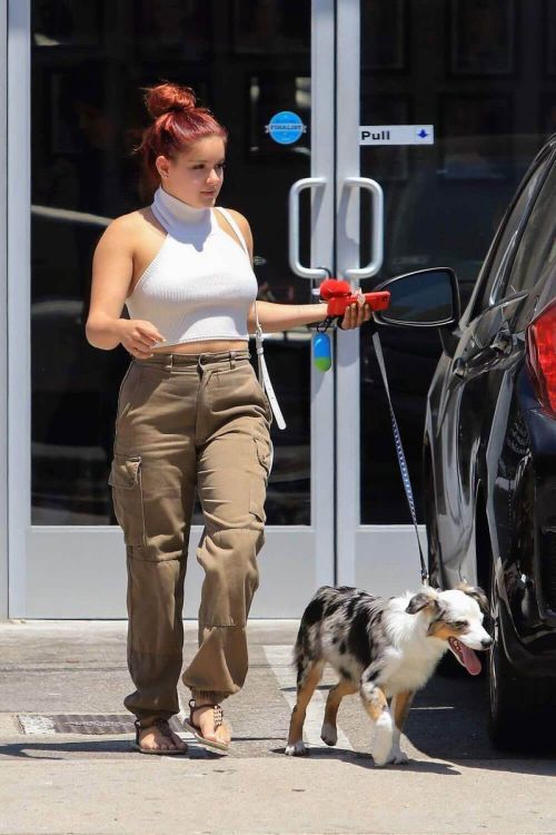 Ariel Winter Stills Out with Her Dog in Studio City 1