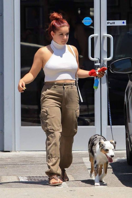 Ariel Winter Stills Out with Her Dog in Studio City 4