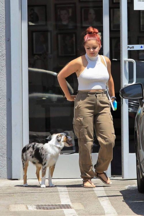 Ariel Winter Stills Out with Her Dog in Studio City 7