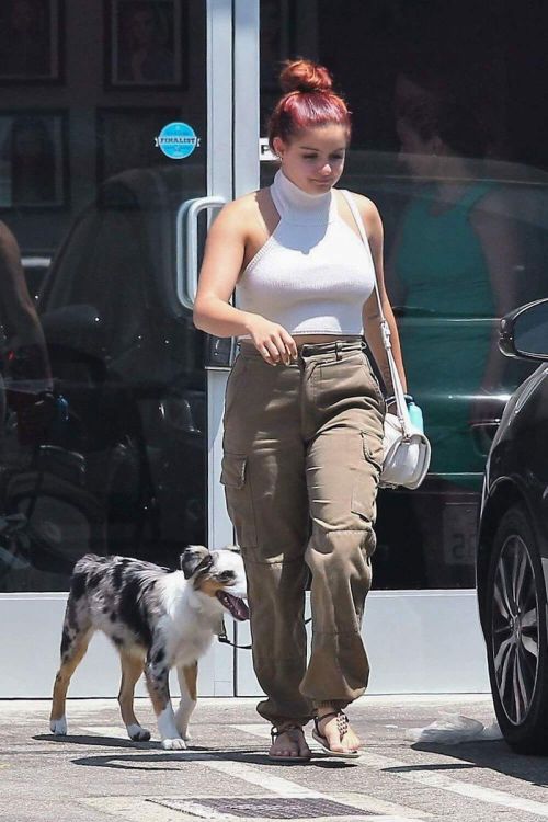 Ariel Winter Stills Out with Her Dog in Studio City 8