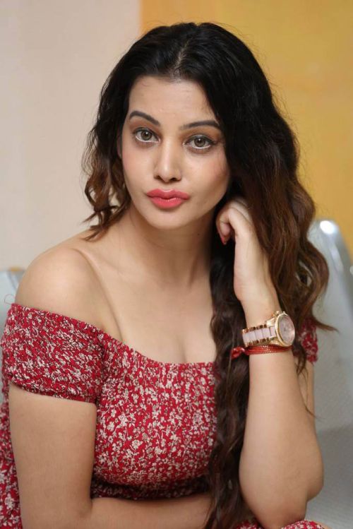 Diksha Panth at MaayaMaal Pre Release Event Photos 1